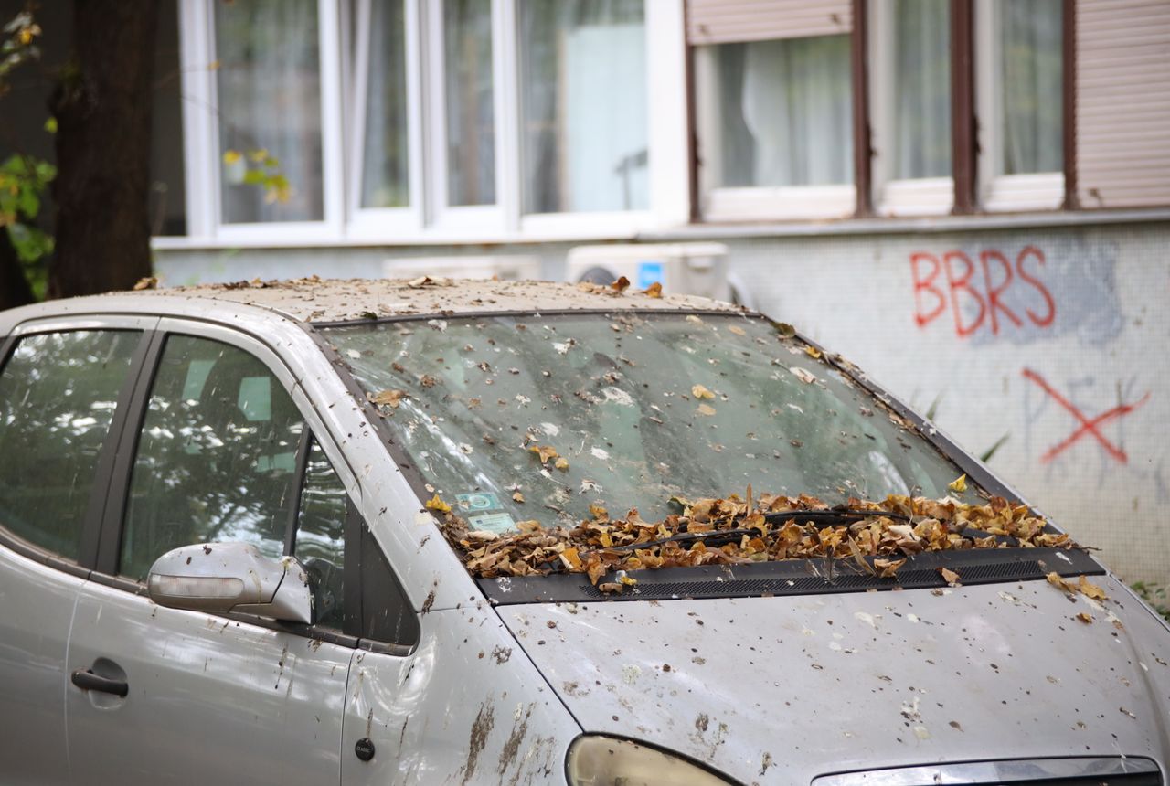 Old junk car in Calgary ready for free scrap car removal